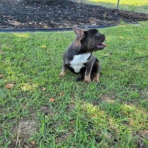 Meet your Posher, Christopher